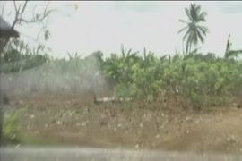Wapdam pesquisa vídeo de parto