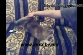 As mellhores gozadas femininas do mundo x videos exibicoes