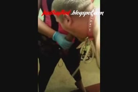 Orientação sexual transexuais transexual travesti