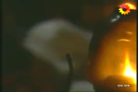 Xvideos celebridades
