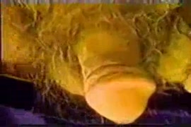 Xnxx اب بينك ابنوا