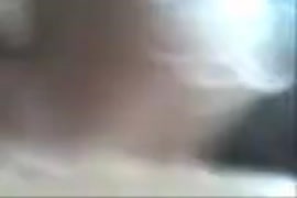 Foto de jumento com seu pinto