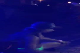 Videos porno leves e pequenos para baixar