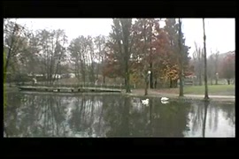 Wapitrick imaje xxx