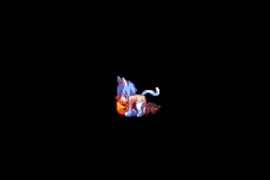 Hdxxxmuve downlod
