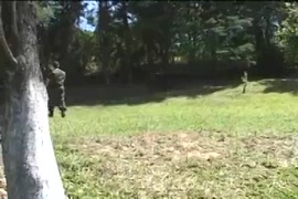 Xvideos rei leão