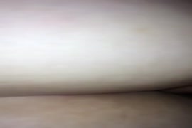 Travesti comendo travexti porno