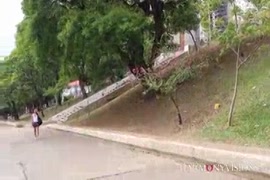 Porno mulher fica trelada em cachorro