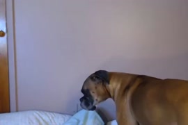 Buenas y con movidas porno