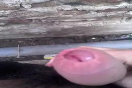 Imagens bulma pelada