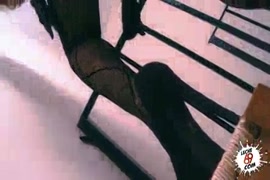Anitta mostra seu periquito