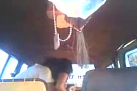 Xvidios americanos